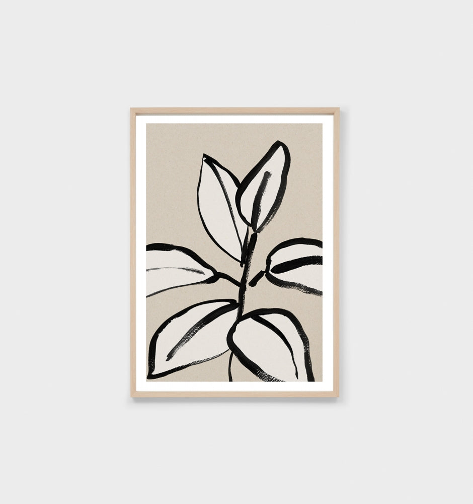 rubber tree sketch Rubber Tree Sketch Natural 2 – Deja vu Interiors