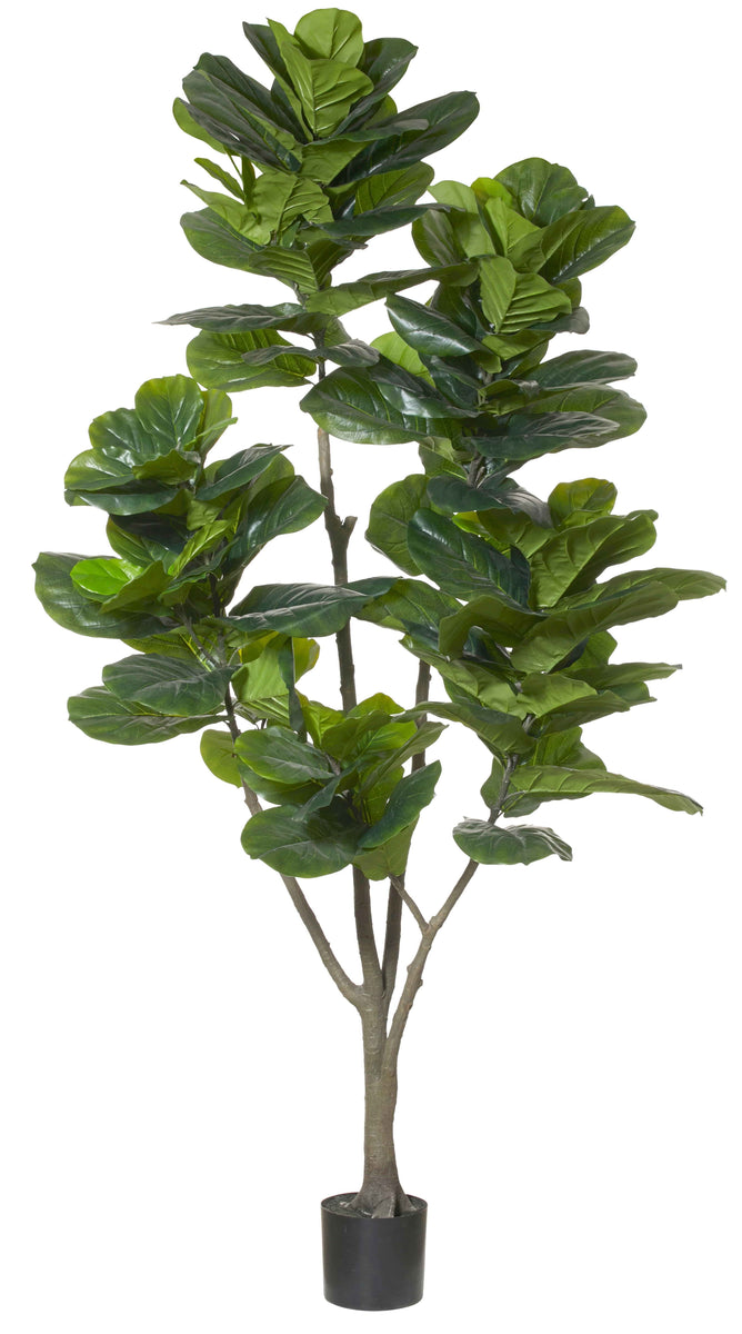 FIDDLE TREE 95X90X215 GREEN – Deja vu Interiors